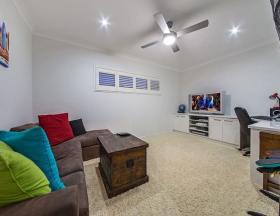 Solution Dyed Polyester Carpet Living Room