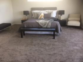 Bedroom Solution Dyed Carpet