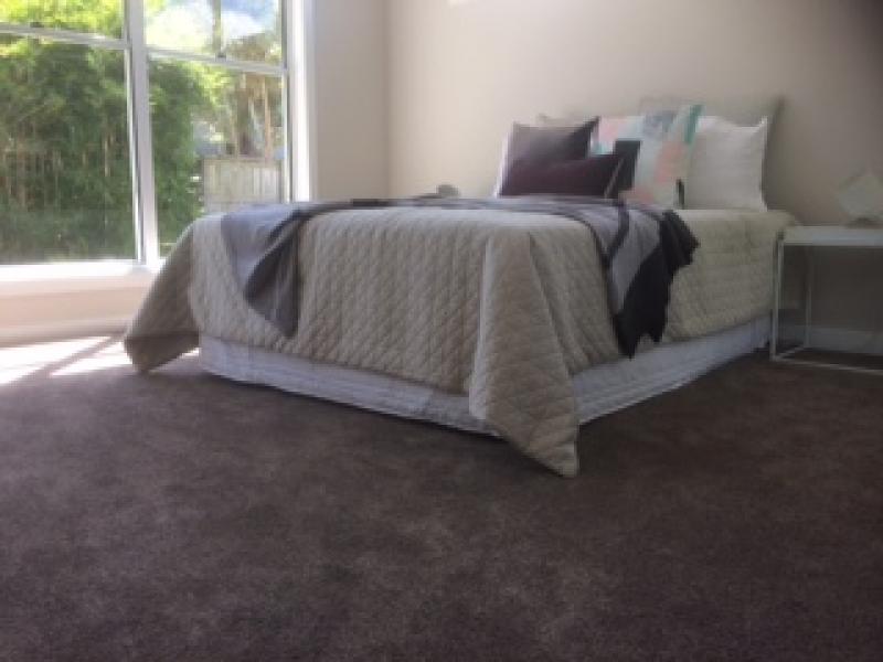 Bedroom Solution Dyed Carpet